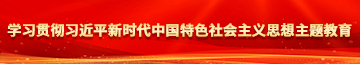 我想看插逼视频学习贯彻习近平新时代中国特色社会主义思想主题教育