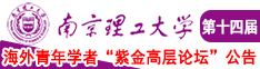 花核抽插南京理工大学第十四届海外青年学者紫金论坛诚邀海内外英才！